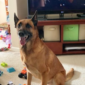 Meet your Posher, Brian